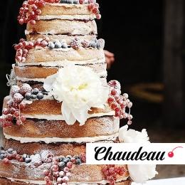 Открытый торт «Зимняя сказка» фото 1 Открытый торт «Зимняя сказка» на заказ