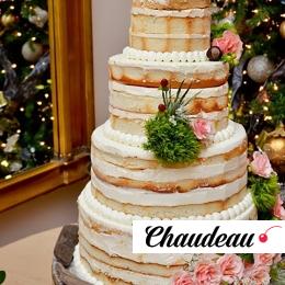 голый свадебный торт