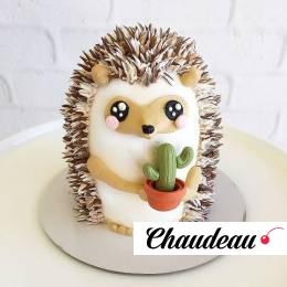 Праздничный торт «Ежик с кактусом» фото 1 Праздничный торт «Ежик с кактусом» на заказ