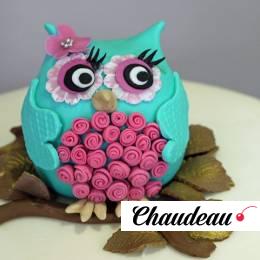 Праздничный торт «Сова на ветке» фото 1 Праздничный торт «Сова на ветке» на заказ