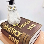 Торт на выпускной «Мудрая сова» на заказ