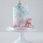 Торт «Мальчик или девочка?» №5 на заказ