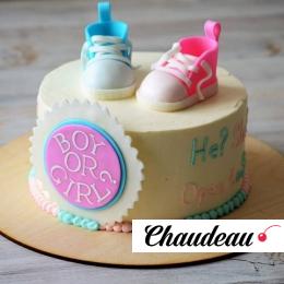 Торт «Мальчик или девочка?» №2 на заказ