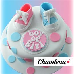 Торт «Мальчик или девочка?» №11 на заказ
