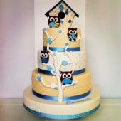 Торт детский «Совушки» на заказ