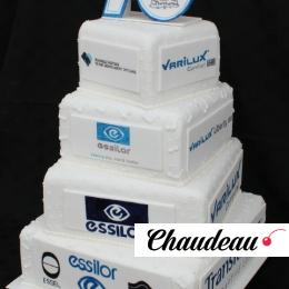 Торт корпоративный с логотипом «Essilor» фото 1 Торт корпоративный с логотипом «Essilor» на заказ