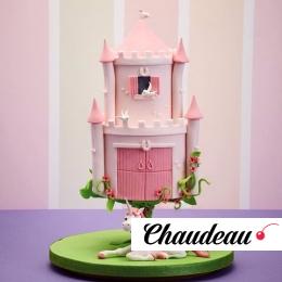 Гравитационный торт «Замок единорога» фото 1 Гравитационный торт «Замок единорога» на заказ