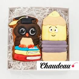 Пряники к 1 сентября «Мудрая совушка» на заказ