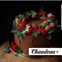 Торт с ягодами «Choco Berry» фото 1  Торт с ягодами «Choco Berry» на заказ