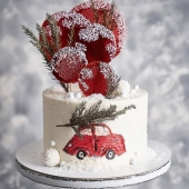 Торт на Новый год «Снежный» на заказ
