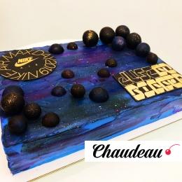 Торт на корпоратив «К новой коллекции»  Торт на корпоратив «К новой коллекции»