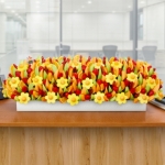 Фруктовая композиция «Огромная»