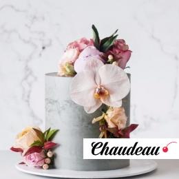 Торт «Подарок» фото 1 Торт «Подарок» на заказ