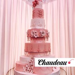 Огромный свадебный торт №27