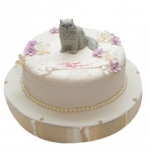 Торт праздничный №1165