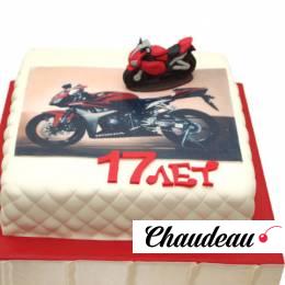 Торт праздничный №993