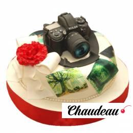 Торт праздничный №1074