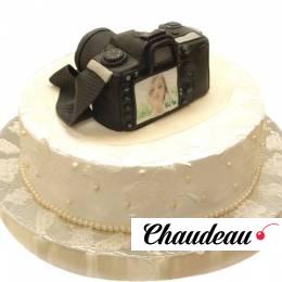 Торт праздничный №1014