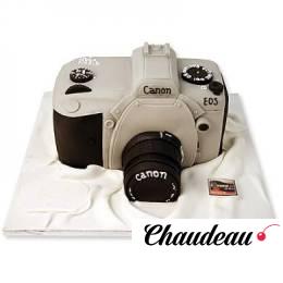 Торт праздничный №216