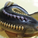 Торт рыбаку 3D «Большая рыба»