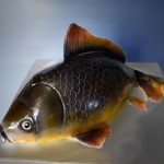 Торт рыбаку 3D «Щука»