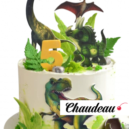 Торт с динозаврами на 5 лет TD5L004689 Торт с динозаврами на 5 лет TD5L004689