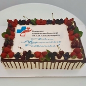 Торты по профессиям и хобби TPIH004781