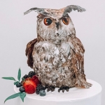 Торт «Сова» на заказ