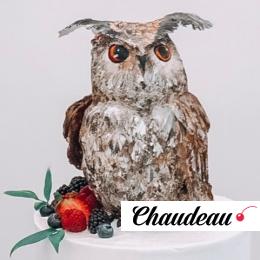 Торт «Сова» на заказ