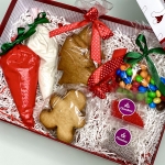 Пряничный набор для творчества на Новый год PNTN005585 