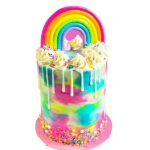 Торт слайм TS00007028