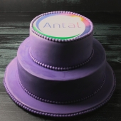 корпоративный торт на заказ с логотипом