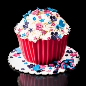 торт на день рождение с мастикой на заказ в москве