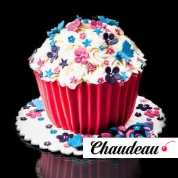 торт на день рождение с мастикой на заказ в москве фото торт на день рождение с мастикой на заказ в москве