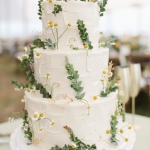 Торт «Ромашковое поле»